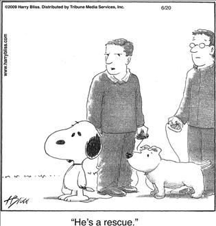Political Cartoon by  Bliss