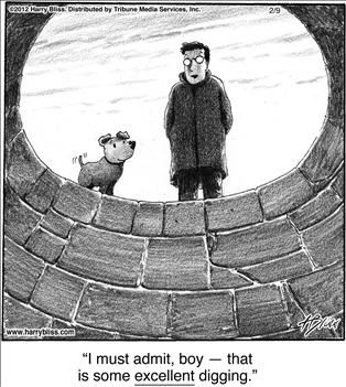 Political Cartoons