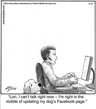 Political Cartoons