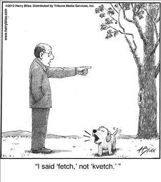 Political Cartoons