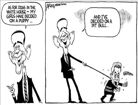 Political Cartoon by Robert Ariail