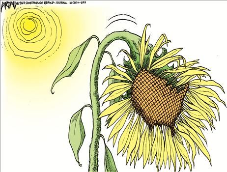 Political Cartoons by Robert Ariail