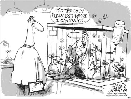 Political Cartoons by Glenn McCoy