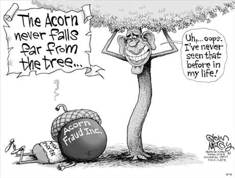 Political Cartoon by Glenn McCoy