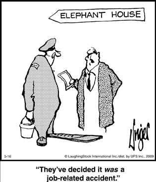 Political Cartoon by  Herman