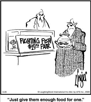 Political Cartoon by  Herman