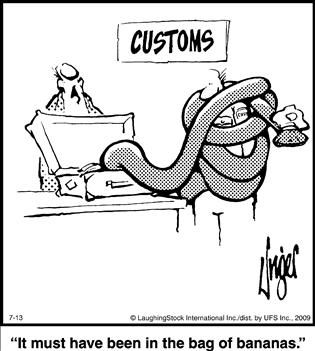 Political Cartoon by  Herman