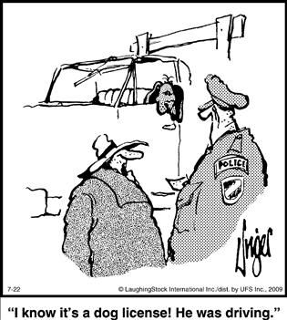 Political Cartoon by  Herman