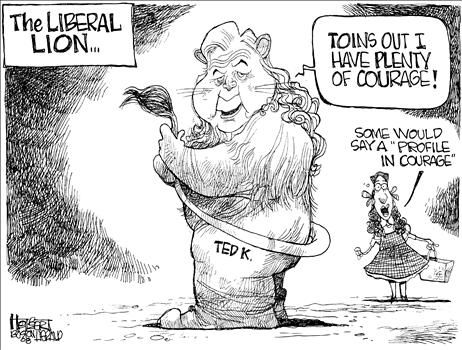 Political Cartoons by Jerry Holbert