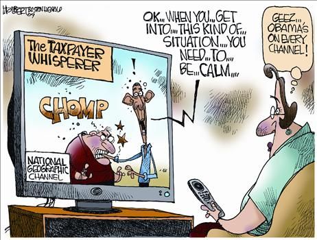 Political Cartoons by Jerry Holbert
