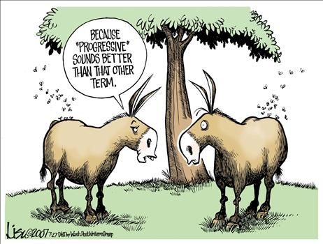 Political Cartoons by Lisa Benson