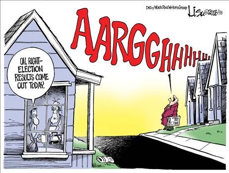 Political Cartoons by Lisa Benson