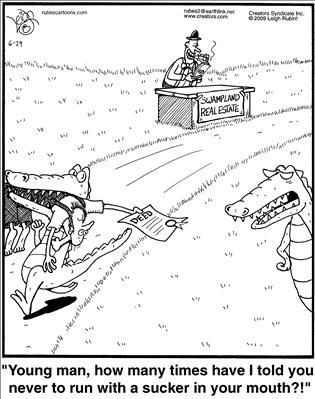 Political Cartoon by  Rubes