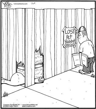 Political Cartoon by  Rubes