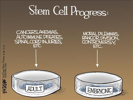 Political and Editorial Cartoons for Steve Breen