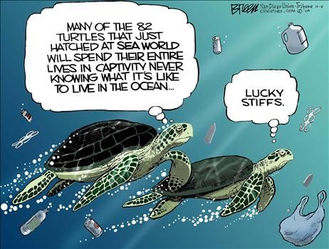 Political Cartoons by Steve Breen