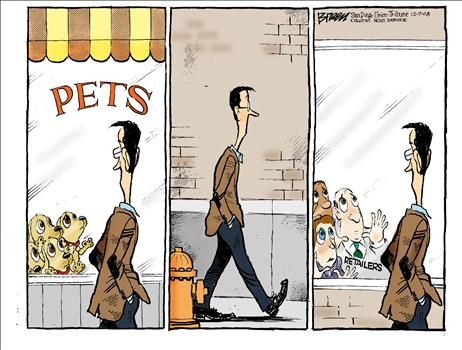 Political Cartoons by Steve Breen