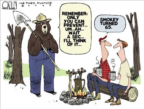 Political Cartoons by Steve Kelley