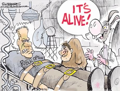 Political Cartoons by Dana Summers