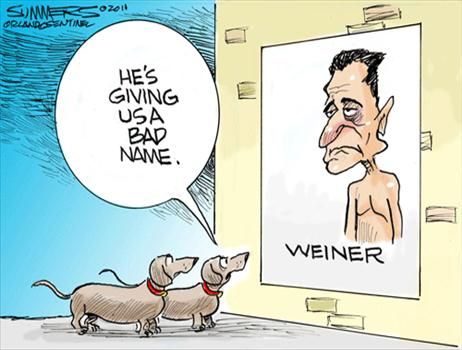 Political Cartoons by Dana Summers