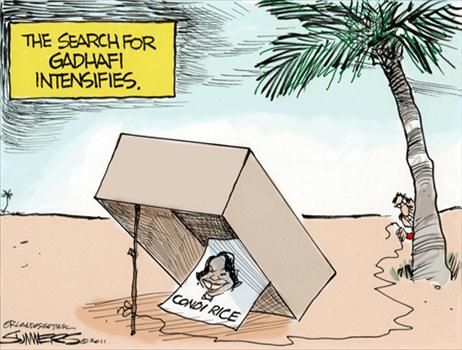 Political Cartoons by Dana Summers