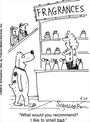 Political Cartoon by  9 to 5