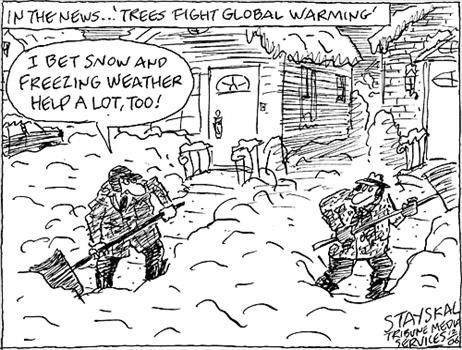 Political Cartoon by Wayne Stayskal