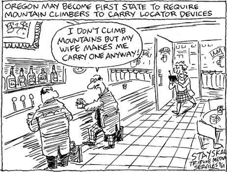 Political Cartoon by Wayne Stayskal