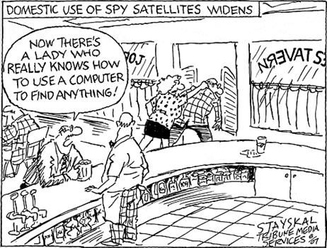 Political Cartoon by Wayne Stayskal