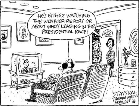 Political Cartoon by Wayne Stayskal