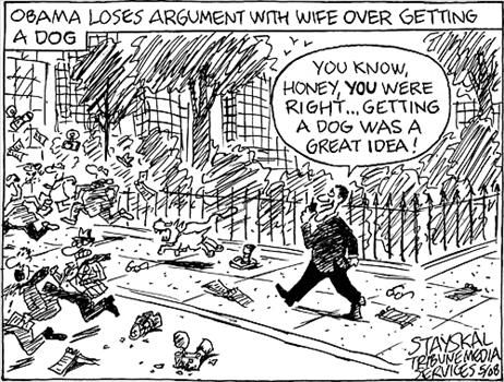 Political Cartoons by Wayne Stayskal