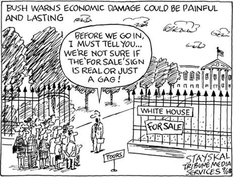 Political Cartoons by Wayne Stayskal