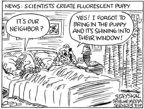 Political Cartoons by Wayne Stayskal