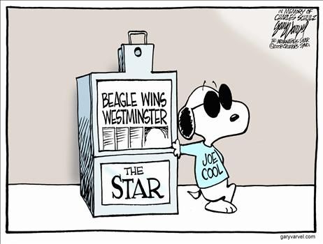 Political Cartoons by Gary Varvel