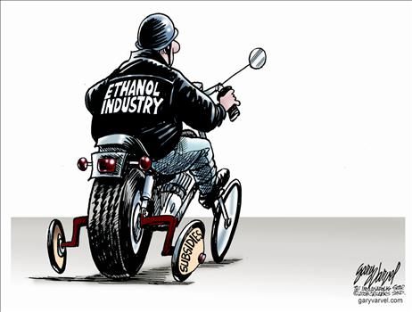 Political Cartoons by Gary Varvel