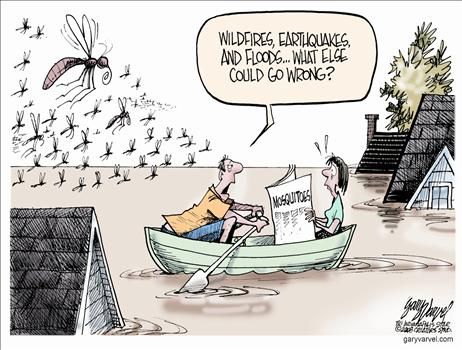 Political Cartoons by Gary Varvel