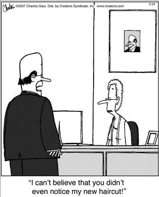 Political Cartoons