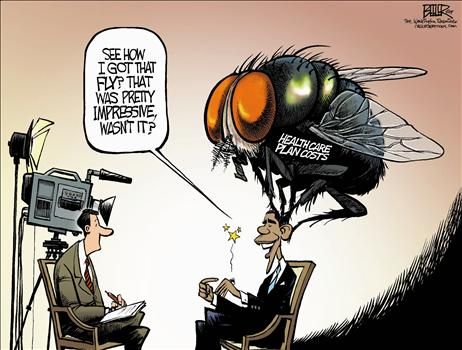 nate beeler
