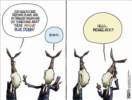 nate beeler