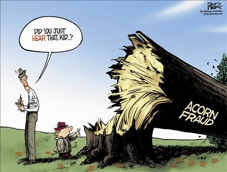 nate beeler