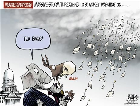 nate beeler