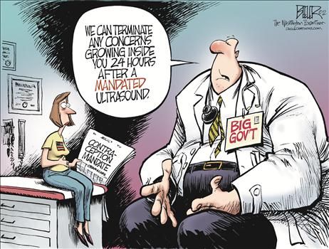 nate beeler