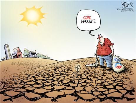 nate beeler