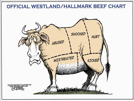 bob gorrell