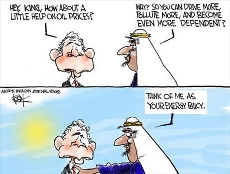 chip bok
