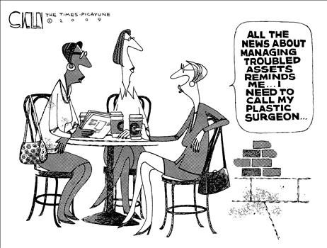 steve kelley