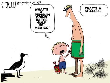 steve kelley