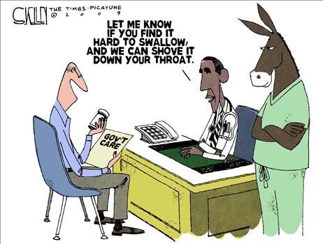 steve kelley