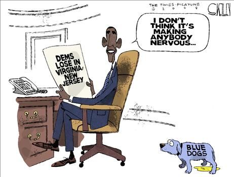 steve kelley