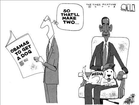 steve kelley